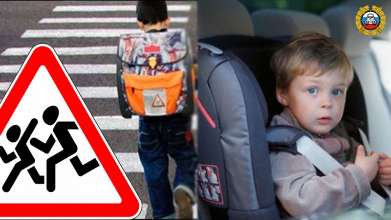 Госавтоинспекция подвела итоги проведения профилактического мероприятия «Ребенок-пассажир, пешеход» с 27 декабря 2021 года по 09 января 2022 года