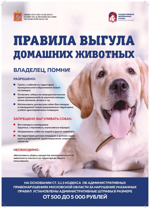 Правила выгула домашних животных (март 2022)