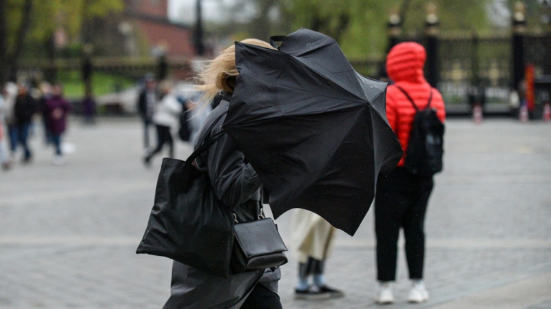 Жару в Московском регионе сменят дожди в середине недели