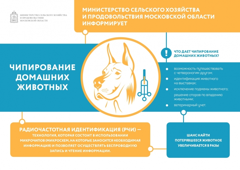 Министерство сельского хозяйства области информирует о чипировании домашних животных