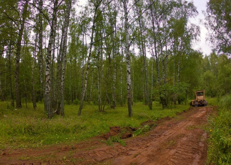 Более 260 километров лесных дорог прочищено и обустроено в лесах Подмосковья