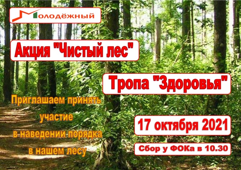 17 октября в Молодёжном проводится акция «Чистый лес» 