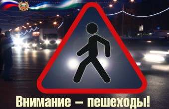 Госавтоинспекция подвела итоги проведения  оперативно-профилактического мероприятия  «Пешеход» с 18 по 24 января 2021 года