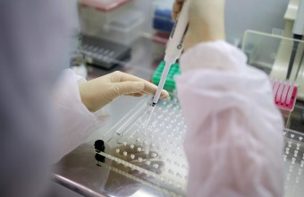 В 20 городских округах Подмосковья не выявили новых случаев Covid-19 за сутки