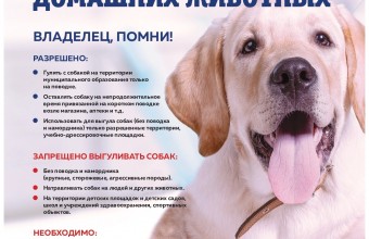 Правила выгула домашних животных (март 2022)