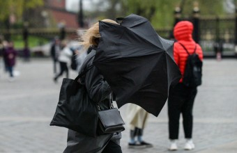 Жару в Московском регионе сменят дожди в середине недели