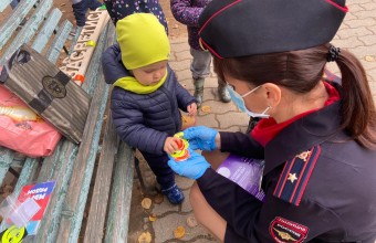 Госавтоинспекция провела акцию «Безопасный двор»