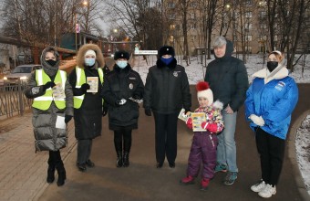 Госавтоинспекция подвела итоги проведения в декабре  оперативно-профилактического мероприятия «Пешеход»