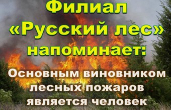 Пожароопасная обстановка требует усиления контроля со стороны надзорных органов