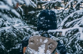Четырнадцать человек потерялись в лесах Подмосковья с начала зимы