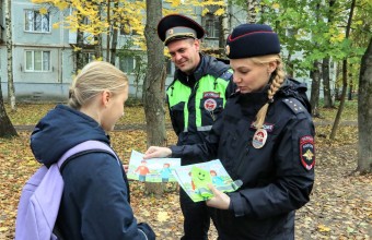 Госавтоинспекция провела беседу с детьми в преддверии осенних каникул. 