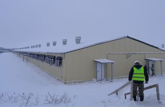 Девять сельскохозяйственных комплексов построили в Подмосковье в 2022 году