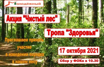 17 октября в Молодёжном проводится акция «Чистый лес» 